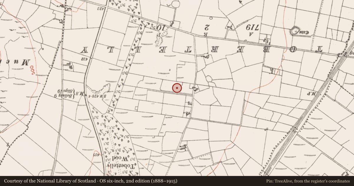 Ordnance Survey six-inch map, 2nd edition (1888–1915) covering the location of Ringfort - rath, Claragh Scotch, County Sligo, with a pin at the register's coordinates
