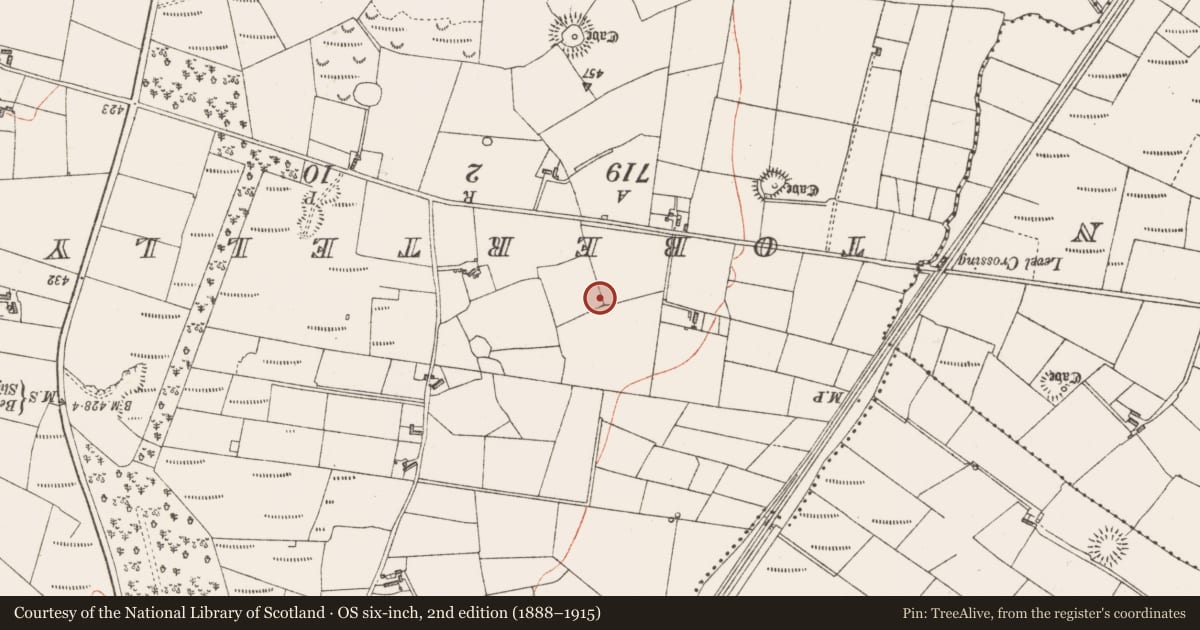Ordnance Survey six-inch map, 2nd edition (1888–1915) covering the location of Enclosure, Glebe, County Sligo, with a pin at the register's coordinates