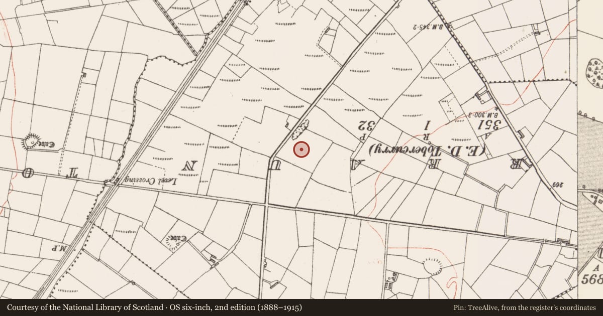Ordnance Survey six-inch map, 2nd edition (1888–1915) covering the location of Ringfort - rath, Falnasoogaun Or Ropefield, County Sligo, with a pin at the register's coordinates