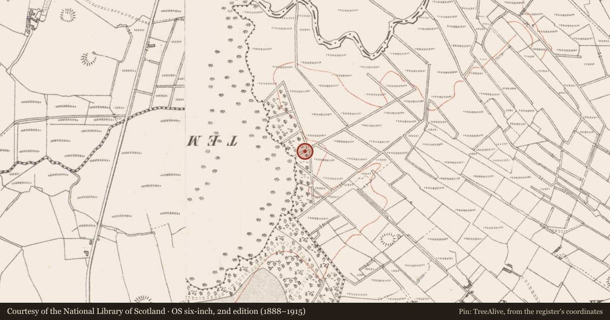 Ordnance Survey six-inch map, 2nd edition (1888–1915) covering the location of Ringfort - rath, Doomore, County Sligo, with a pin at the register's coordinates