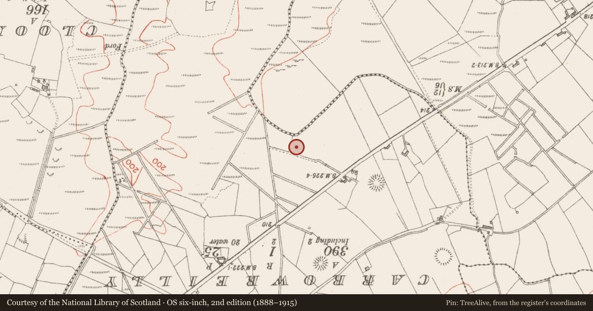 Ordnance Survey six-inch map, 2nd edition (1888–1915) covering the location of Barrow - ring-barrow, Carnyara, County Sligo, with a pin at the register's coordinates