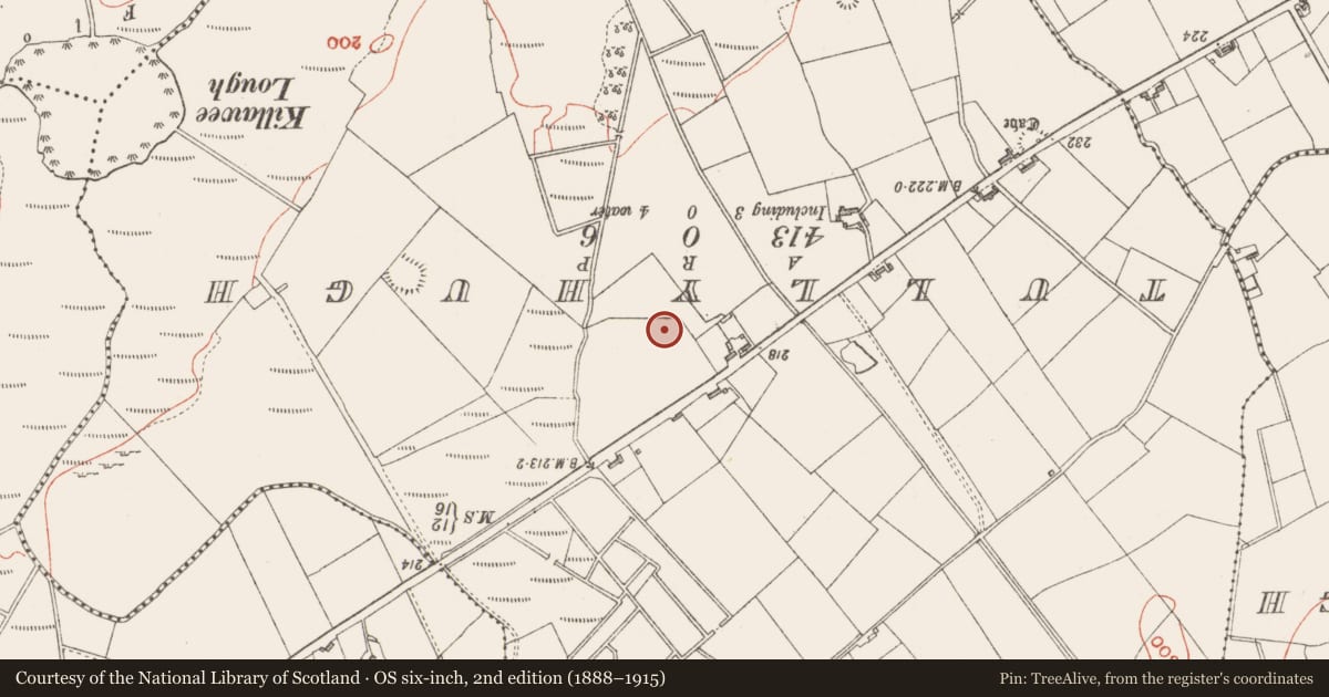 Ordnance Survey six-inch map, 2nd edition (1888–1915) covering the location of Enclosure, Ballinvally, County Sligo, with a pin at the register's coordinates