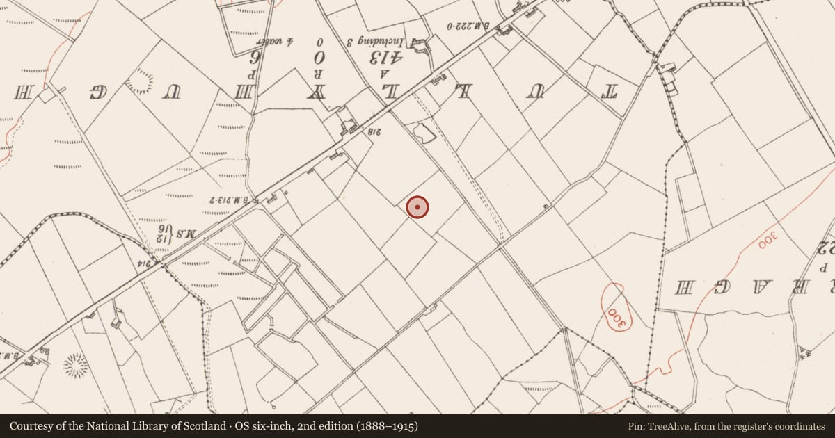 Ordnance Survey six-inch map, 2nd edition (1888–1915) covering the location of Ringfort - rath, Ballinvally, County Sligo, with a pin at the register's coordinates
