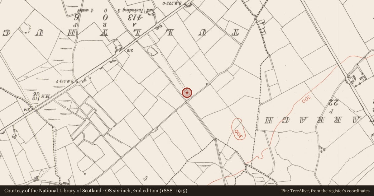 Ordnance Survey six-inch map, 2nd edition (1888–1915) covering the location of Ringfort - cashel, Streamstown, County Sligo, with a pin at the register's coordinates
