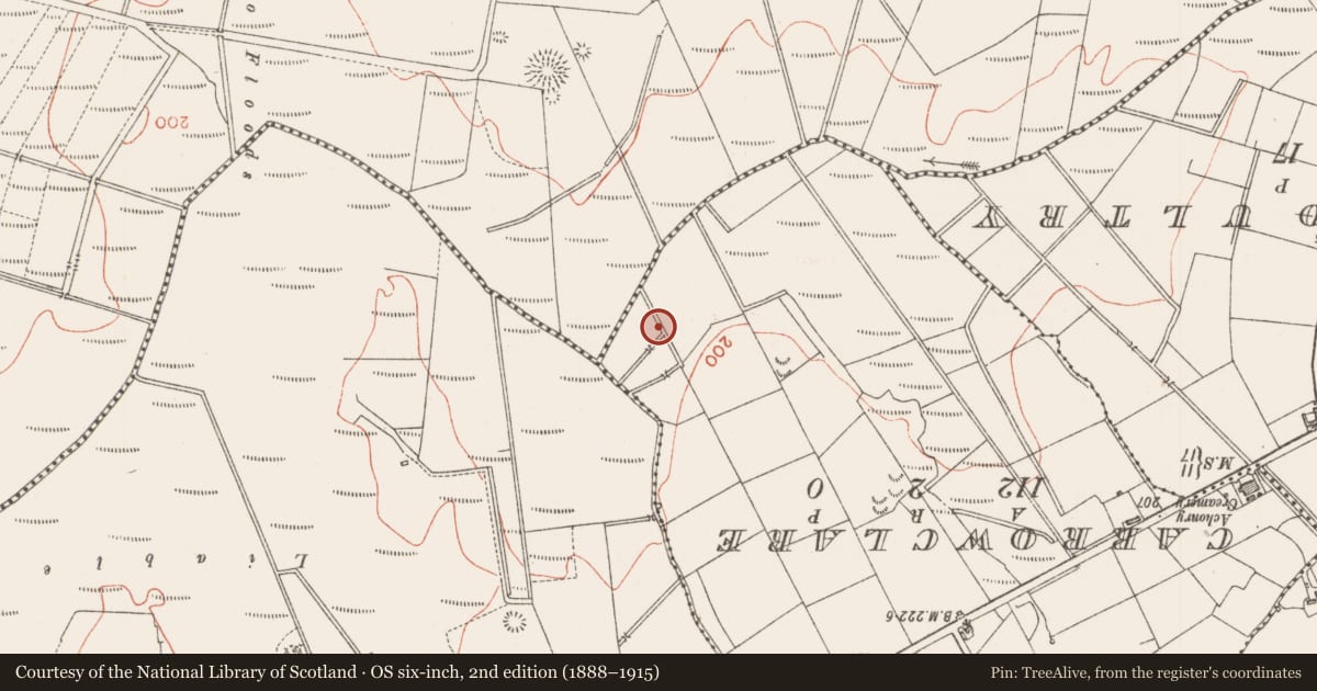 Ordnance Survey six-inch map, 2nd edition (1888–1915) covering the location of Ringfort - rath, Lavagh, County Sligo, with a pin at the register's coordinates