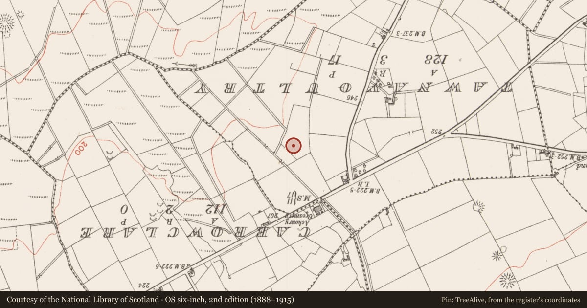 Ordnance Survey six-inch map, 2nd edition (1888–1915) covering the location of Barrow - ring-barrow, Carrowcarragh, County Sligo, with a pin at the register's coordinates