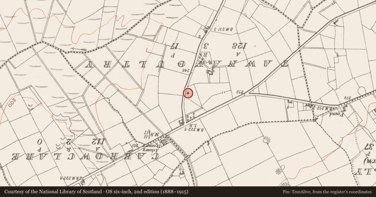 Ordnance Survey six-inch map, 2nd edition (1888–1915) covering the location of Ringfort - cashel, Carrowcarragh, County Sligo, with a pin at the register's coordinates