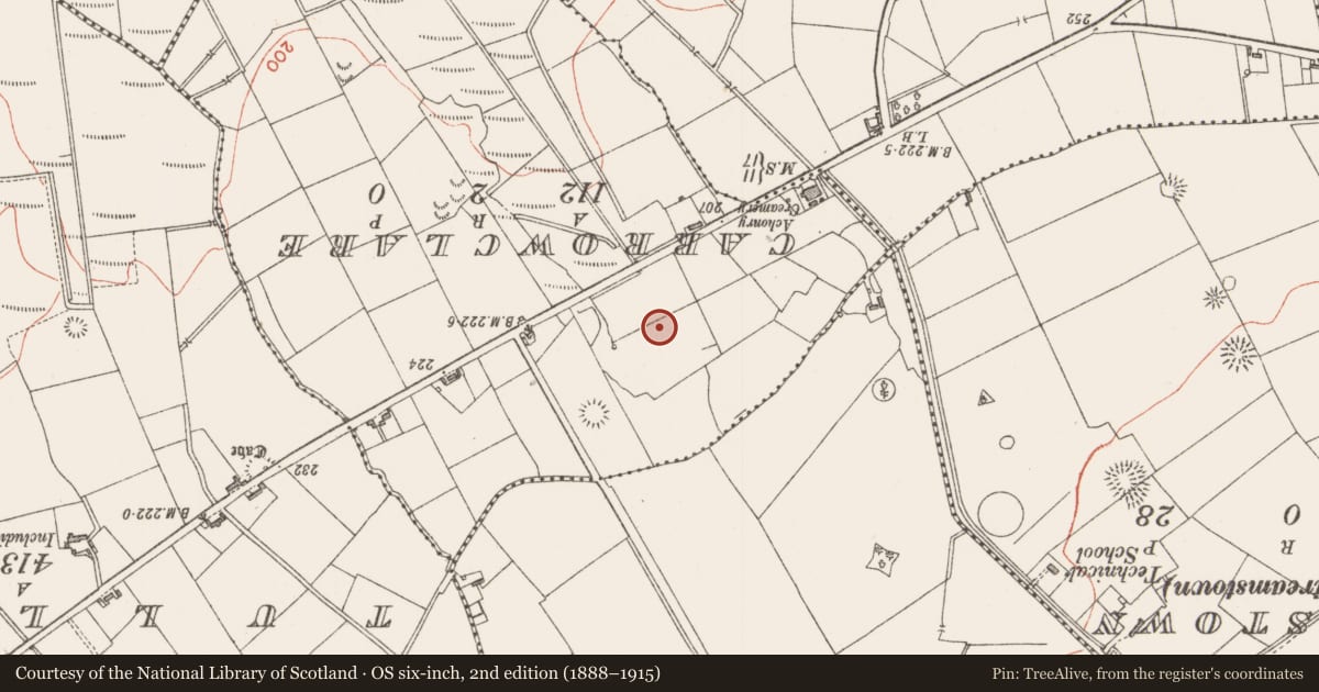 Ordnance Survey six-inch map, 2nd edition (1888–1915) covering the location of Ringfort - rath, Carrowcarragh, County Sligo, with a pin at the register's coordinates