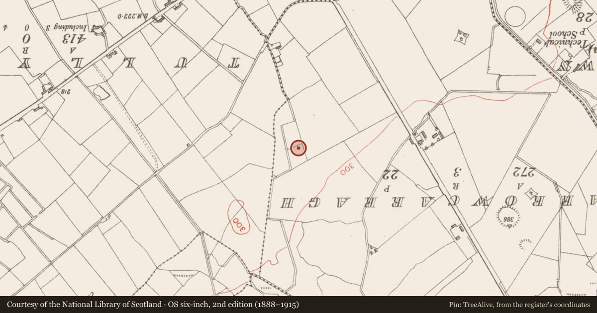Ordnance Survey six-inch map, 2nd edition (1888–1915) covering the location of Ringfort - rath, Streamstown, County Sligo, with a pin at the register's coordinates