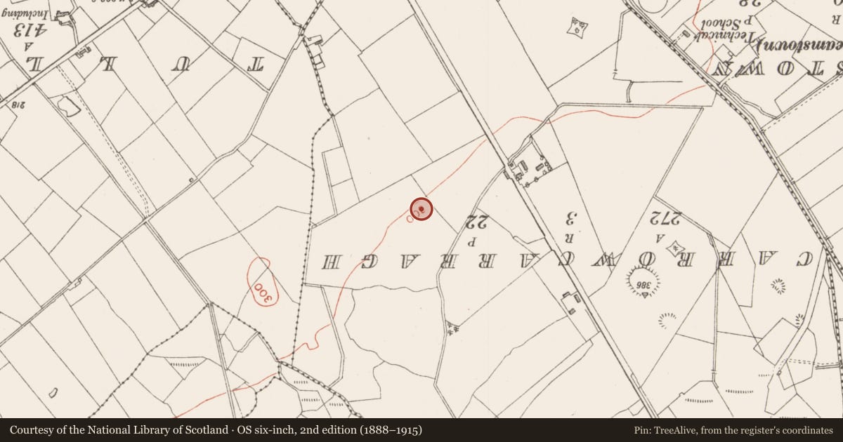 Ordnance Survey six-inch map, 2nd edition (1888–1915) covering the location of Barrow - ditch barrow, Streamstown, County Sligo, with a pin at the register's coordinates