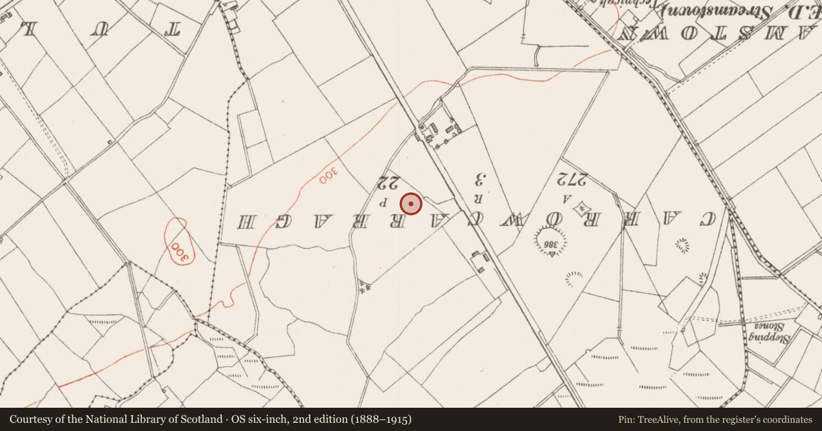 Ordnance Survey six-inch map, 2nd edition (1888–1915) covering the location of Ringfort - rath, Carrowcarragh, County Sligo, with a pin at the register's coordinates