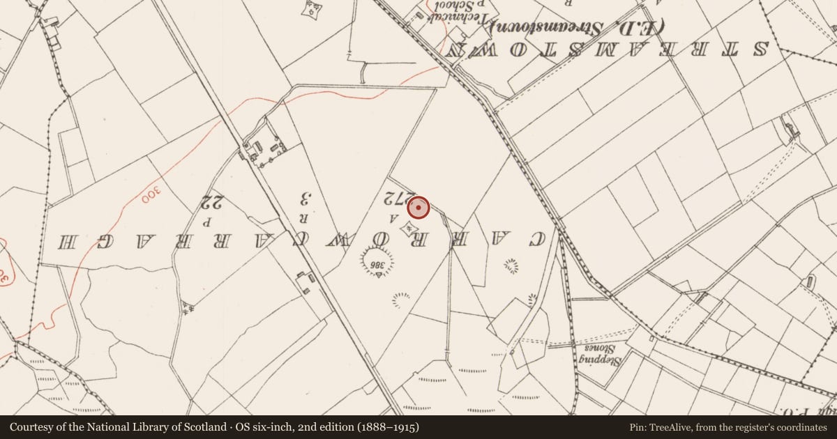 Ordnance Survey six-inch map, 2nd edition (1888–1915) covering the location of Ringfort - rath, Carrowclare, County Sligo, with a pin at the register's coordinates