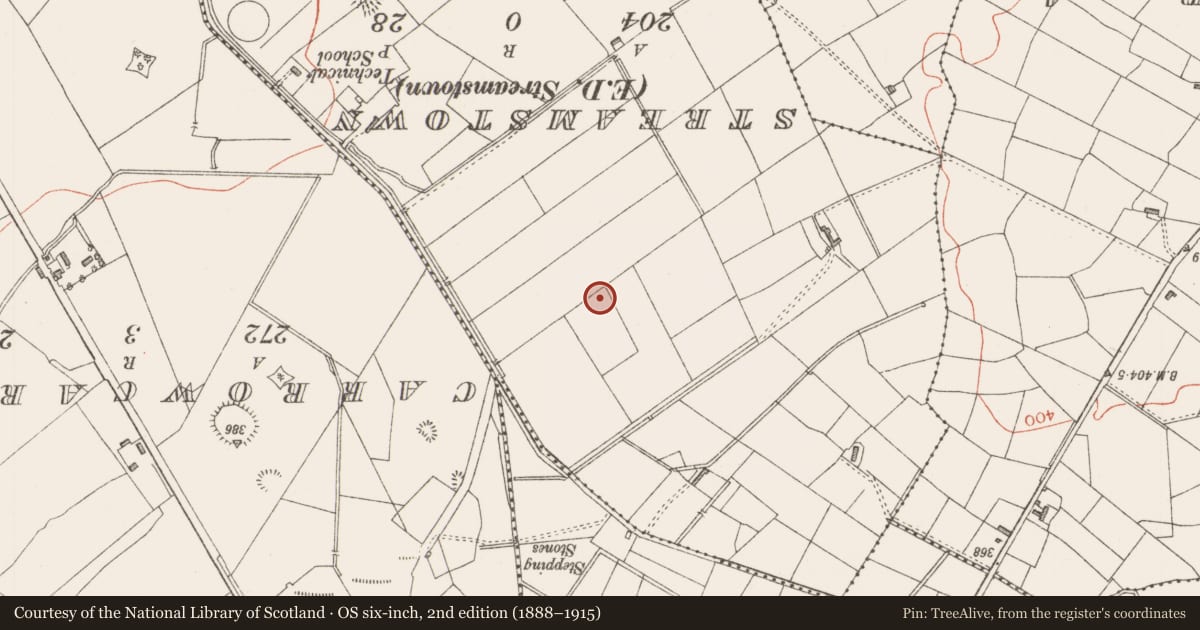 Ordnance Survey six-inch map, 2nd edition (1888–1915) covering the location of Souterrain, Tullyhugh, County Sligo, with a pin at the register's coordinates