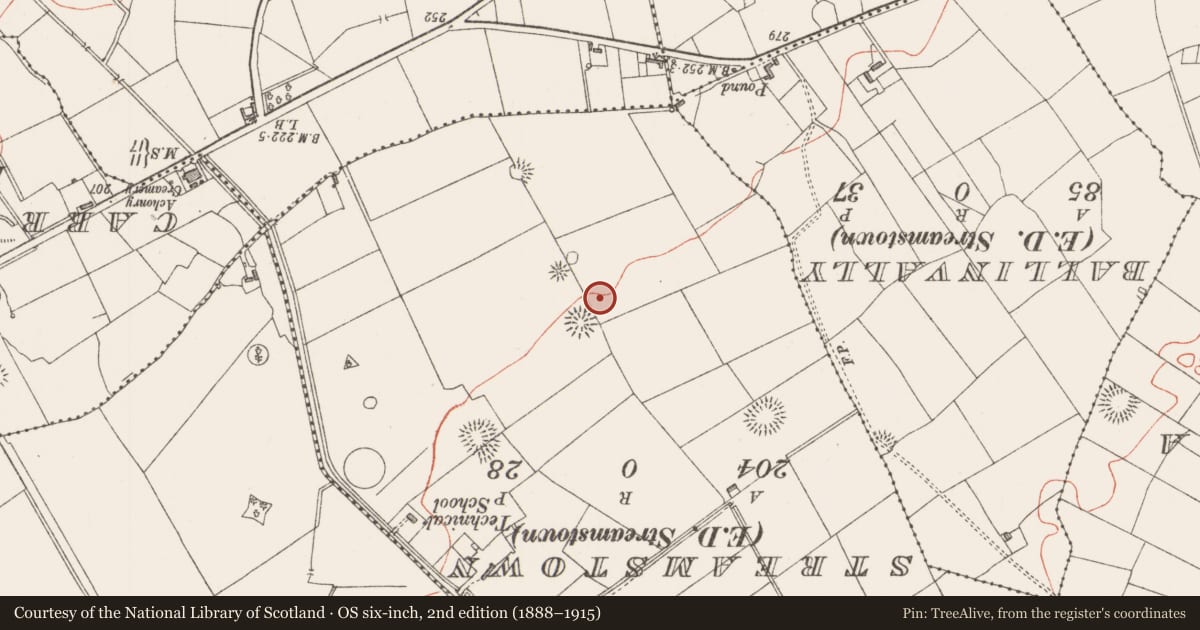 Ordnance Survey six-inch map, 2nd edition (1888–1915) covering the location of Ringfort - rath, Tullyhugh, County Sligo, with a pin at the register's coordinates