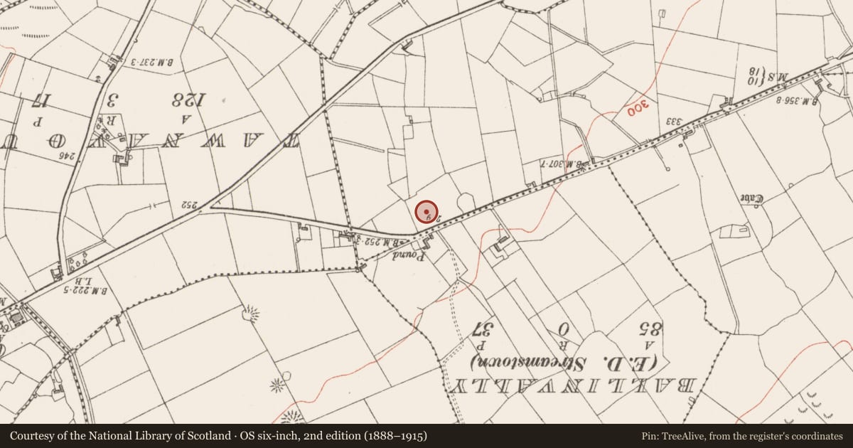 Ordnance Survey six-inch map, 2nd edition (1888–1915) covering the location of Enclosure, Cunghill, County Sligo, with a pin at the register's coordinates