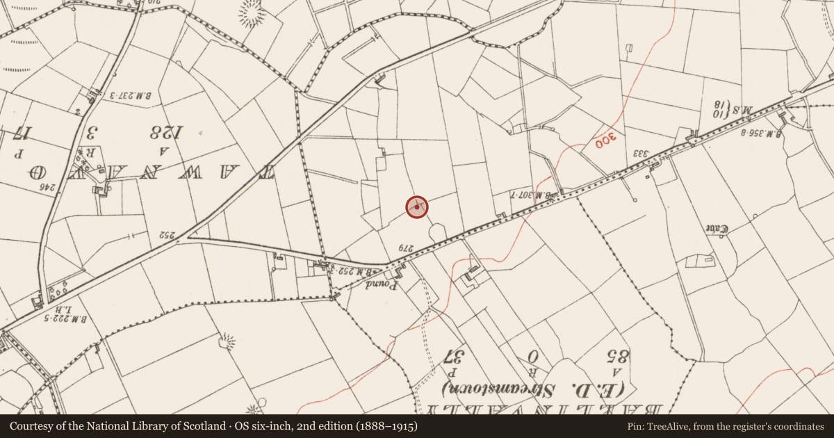 Ordnance Survey six-inch map, 2nd edition (1888–1915) covering the location of Hut site, Cunghill, County Sligo, with a pin at the register's coordinates
