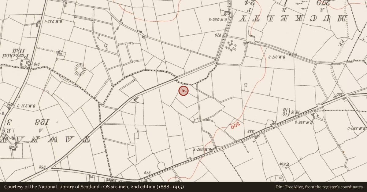 Ordnance Survey six-inch map, 2nd edition (1888–1915) covering the location of Ringfort - rath, Cunghill, County Sligo, with a pin at the register's coordinates