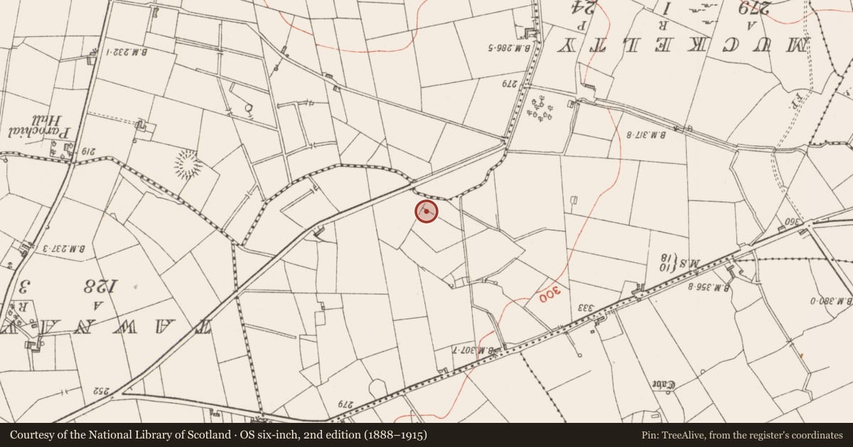 Ordnance Survey six-inch map, 2nd edition (1888–1915) covering the location of Souterrain, Cunghill, County Sligo, with a pin at the register's coordinates