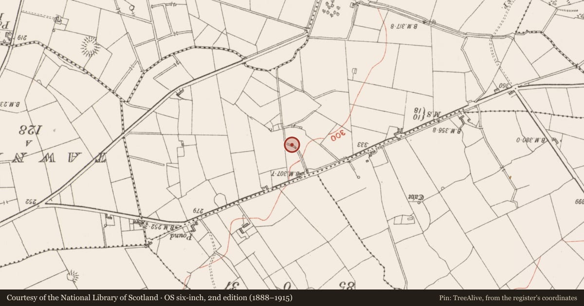 Ordnance Survey six-inch map, 2nd edition (1888–1915) covering the location of Ringfort - rath, Cunghill, County Sligo, with a pin at the register's coordinates