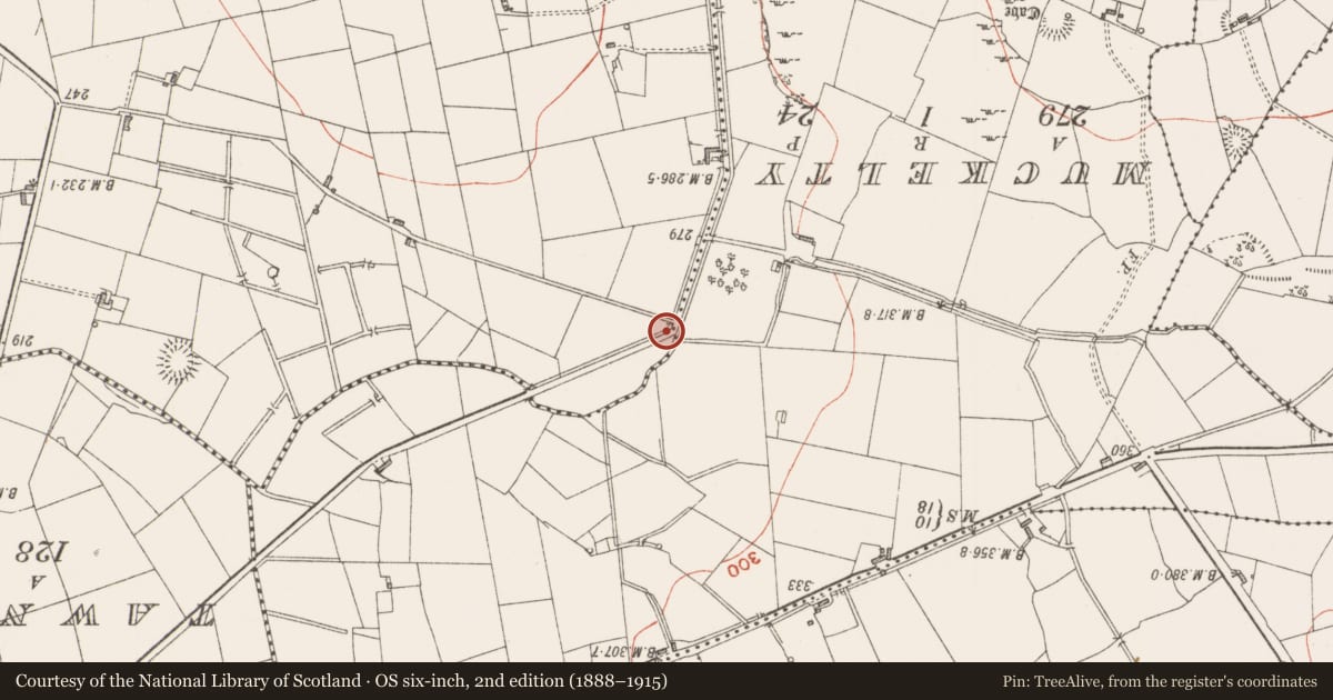 Ordnance Survey six-inch map, 2nd edition (1888–1915) covering the location of Ringfort - rath, Cunghill, County Sligo, with a pin at the register's coordinates