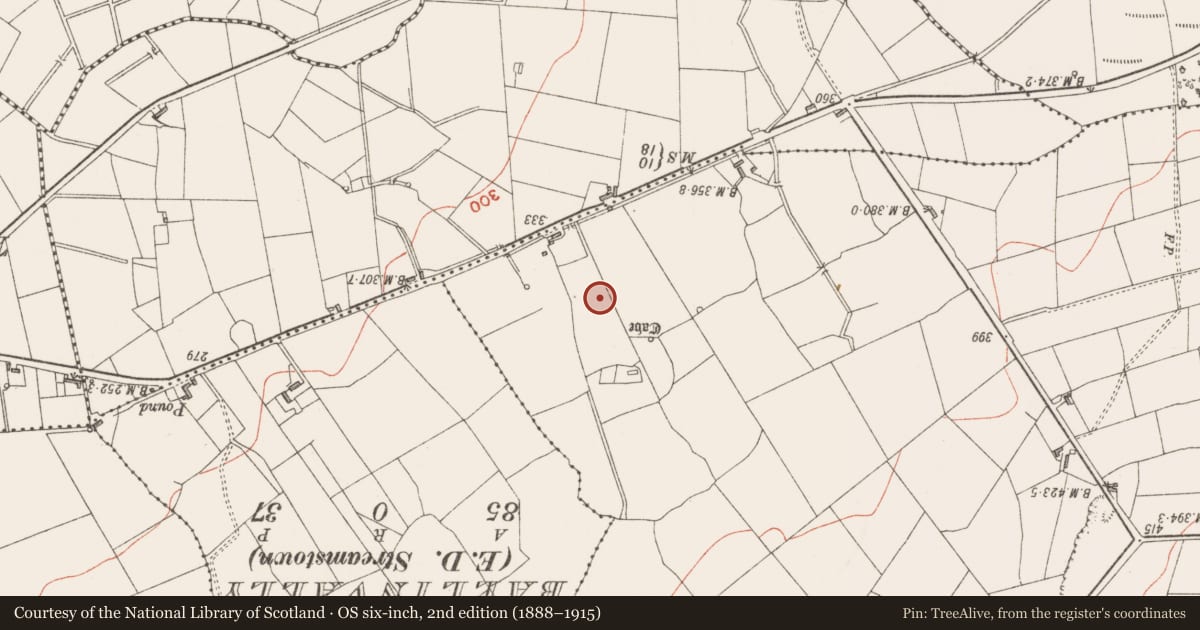 Ordnance Survey six-inch map, 2nd edition (1888–1915) covering the location of Enclosure, Cunghill, County Sligo, with a pin at the register's coordinates