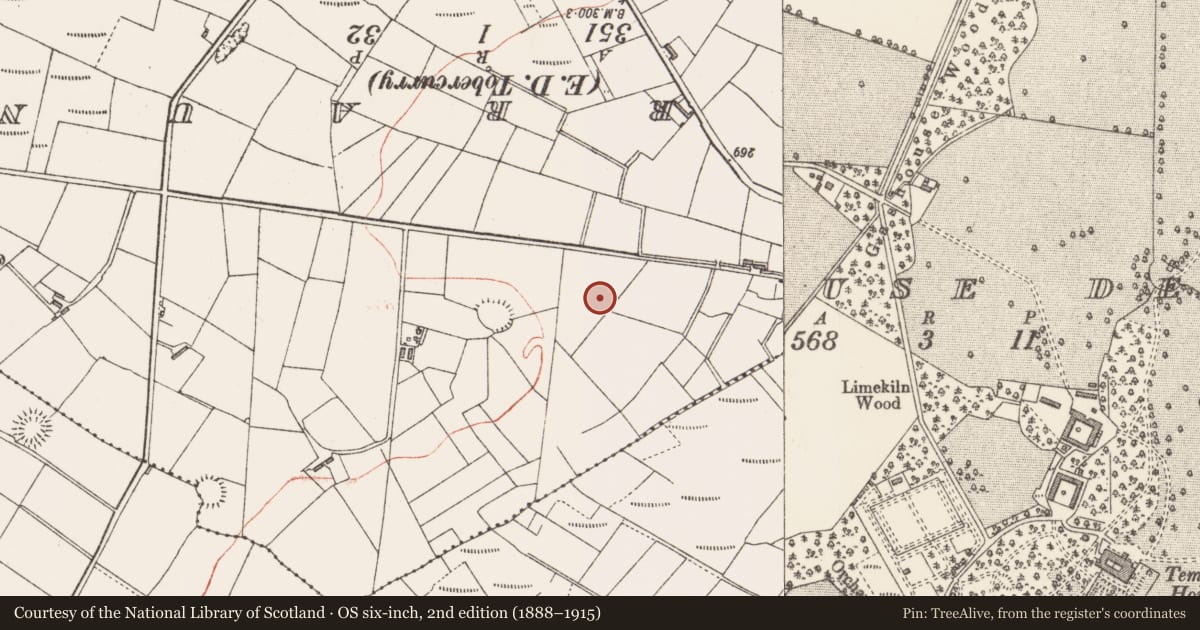 Ordnance Survey six-inch map, 2nd edition (1888–1915) covering the location of Designed landscape - tree-ring, Templehouse Demesne, County Sligo, with a pin at the register's coordinates