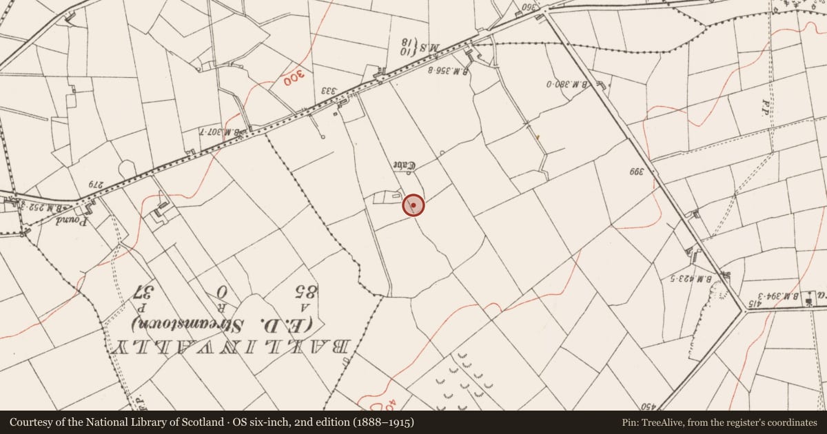 Ordnance Survey six-inch map, 2nd edition (1888–1915) covering the location of Ringfort - rath, Carrowreilly, County Sligo, with a pin at the register's coordinates