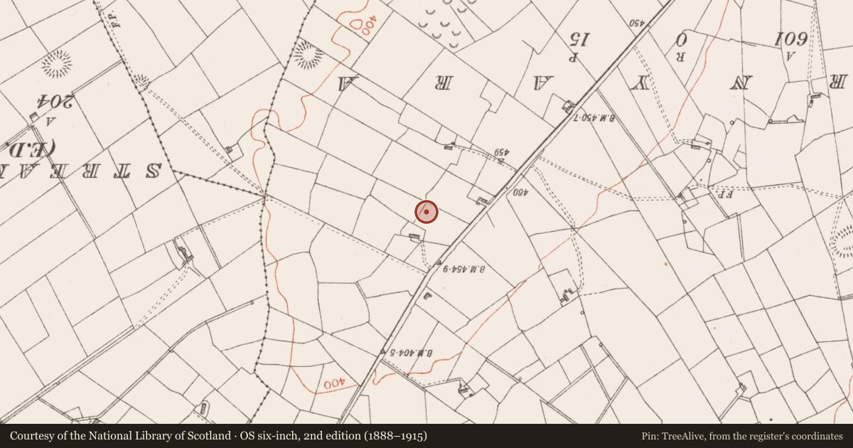 Ordnance Survey six-inch map, 2nd edition (1888–1915) covering the location of Ringfort - rath, Tullyhugh, County Sligo, with a pin at the register's coordinates