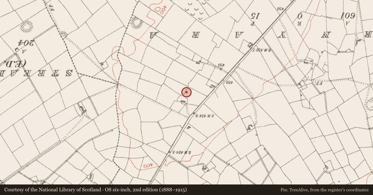 Ordnance Survey six-inch map, 2nd edition (1888–1915) covering the location of Hut site, Tullyhugh, County Sligo, with a pin at the register's coordinates