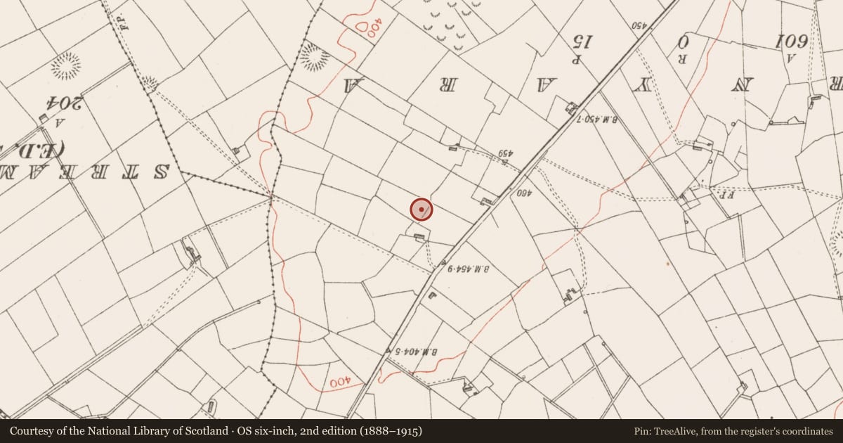 Ordnance Survey six-inch map, 2nd edition (1888–1915) covering the location of Souterrain, Tullyhugh, County Sligo, with a pin at the register's coordinates