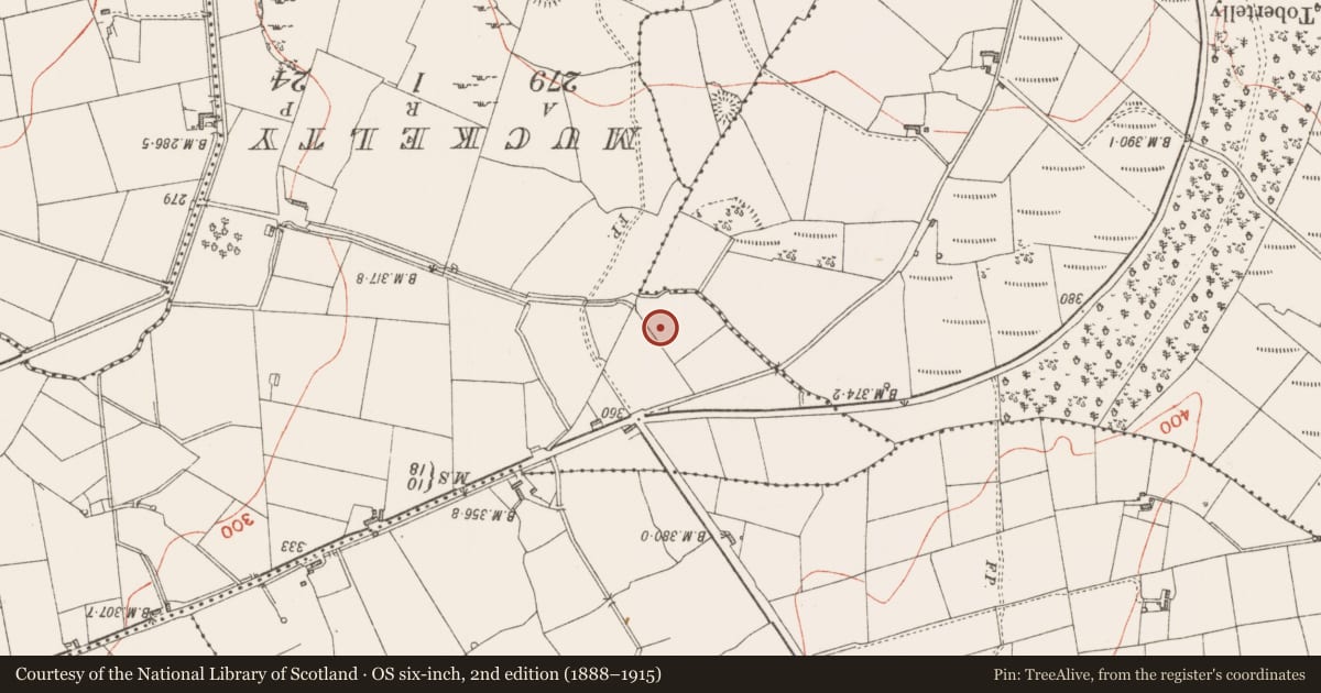 Ordnance Survey six-inch map, 2nd edition (1888–1915) covering the location of Ringfort - rath, Carrowreilly, County Sligo, with a pin at the register's coordinates