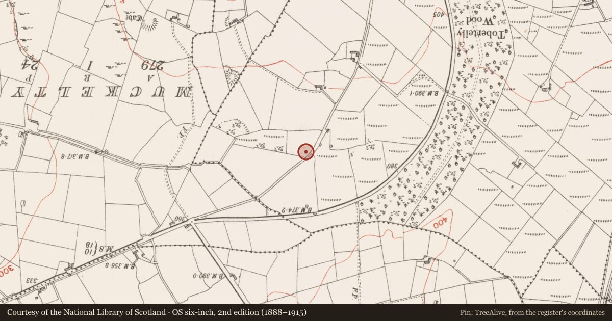 Ordnance Survey six-inch map, 2nd edition (1888–1915) covering the location of Ringfort - rath, Carrowreilly, County Sligo, with a pin at the register's coordinates