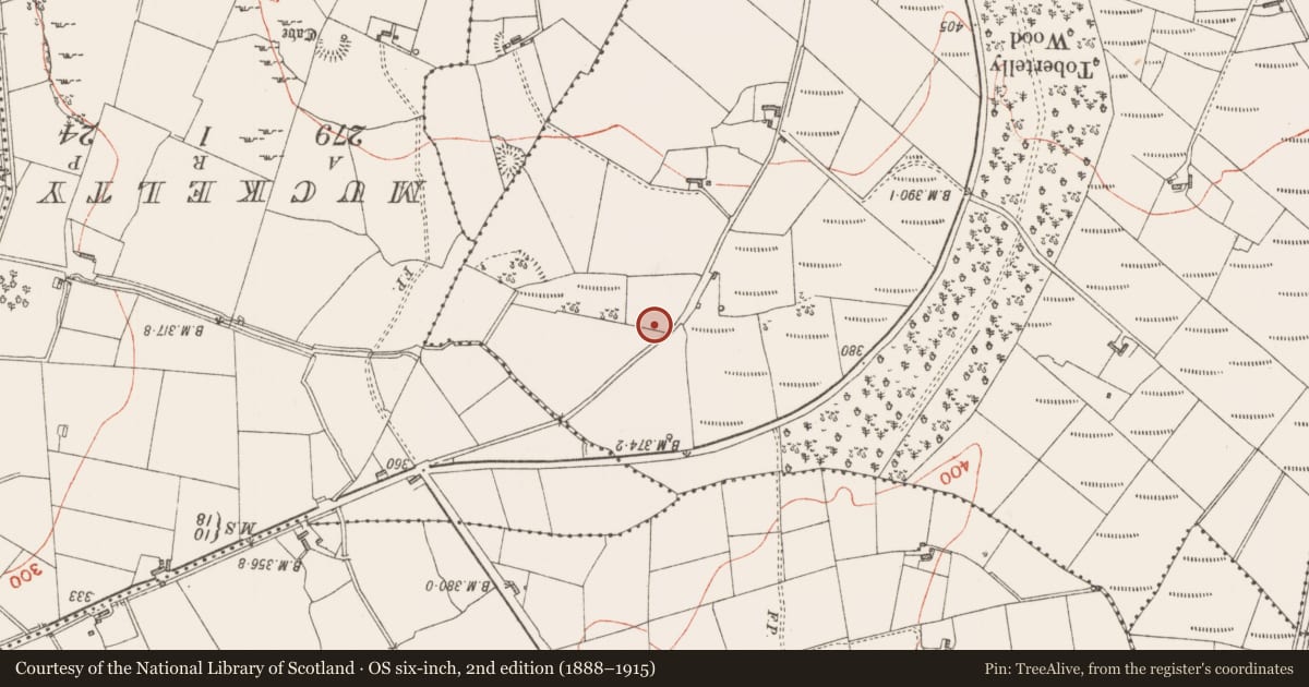 Ordnance Survey six-inch map, 2nd edition (1888–1915) covering the location of Souterrain, Carrowreilly, County Sligo, with a pin at the register's coordinates