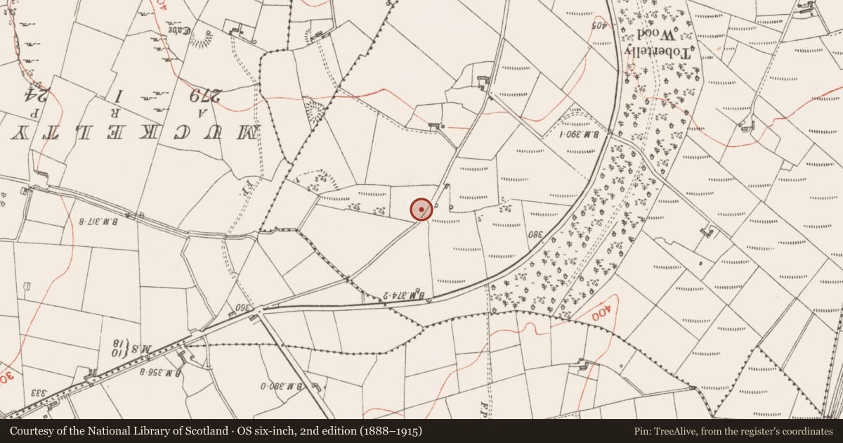 Ordnance Survey six-inch map, 2nd edition (1888–1915) covering the location of Hut site, Carrowreilly, County Sligo, with a pin at the register's coordinates
