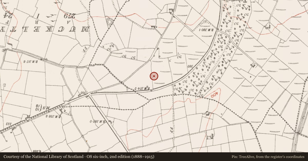 Ordnance Survey six-inch map, 2nd edition (1888–1915) covering the location of Ringfort - rath, Carrowreilly, County Sligo, with a pin at the register's coordinates