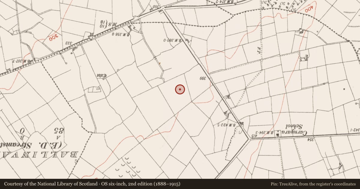 Ordnance Survey six-inch map, 2nd edition (1888–1915) covering the location of Ringfort - rath, Carrowreilly, County Sligo, with a pin at the register's coordinates