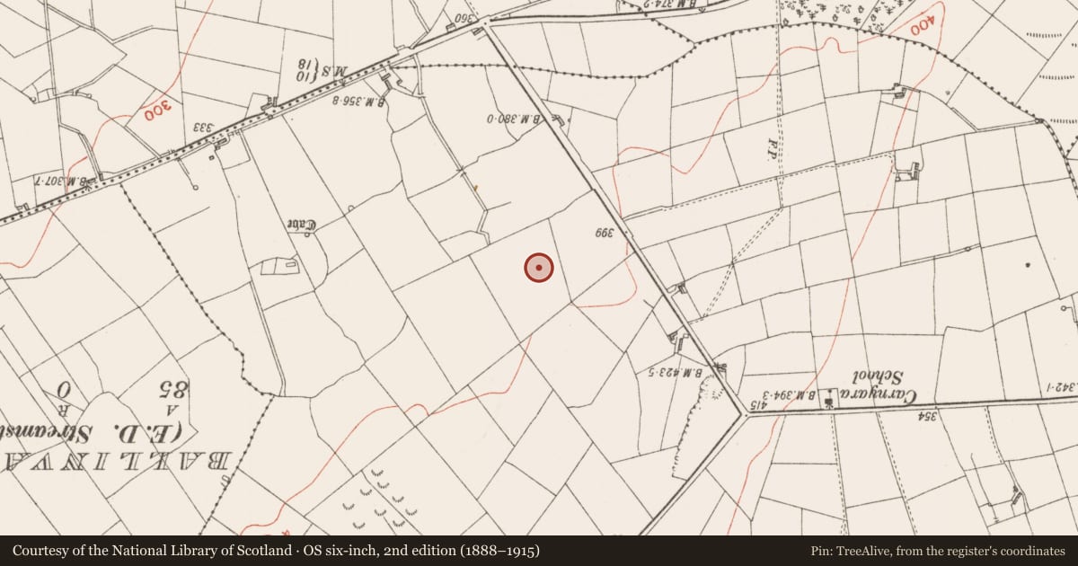 Ordnance Survey six-inch map, 2nd edition (1888–1915) covering the location of Hut site, Carrowreilly, County Sligo, with a pin at the register's coordinates