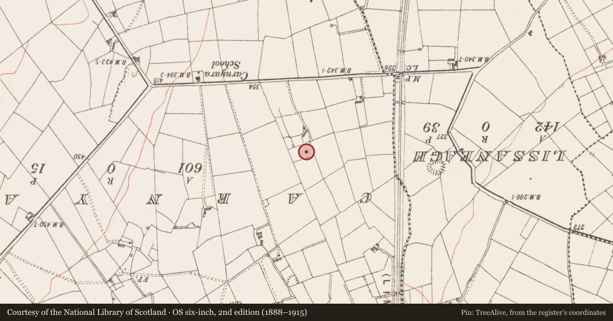 Ordnance Survey six-inch map, 2nd edition (1888–1915) covering the location of Enclosure, Clooncunny, County Sligo, with a pin at the register's coordinates