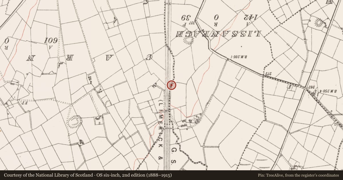 Ordnance Survey six-inch map, 2nd edition (1888–1915) covering the location of Ringfort - rath, Clooncunny, County Sligo, with a pin at the register's coordinates