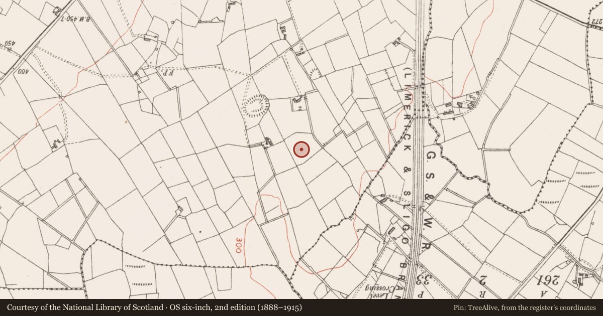 Ordnance Survey six-inch map, 2nd edition (1888–1915) covering the location of Ringfort - rath, Clooncunny, County Sligo, with a pin at the register's coordinates