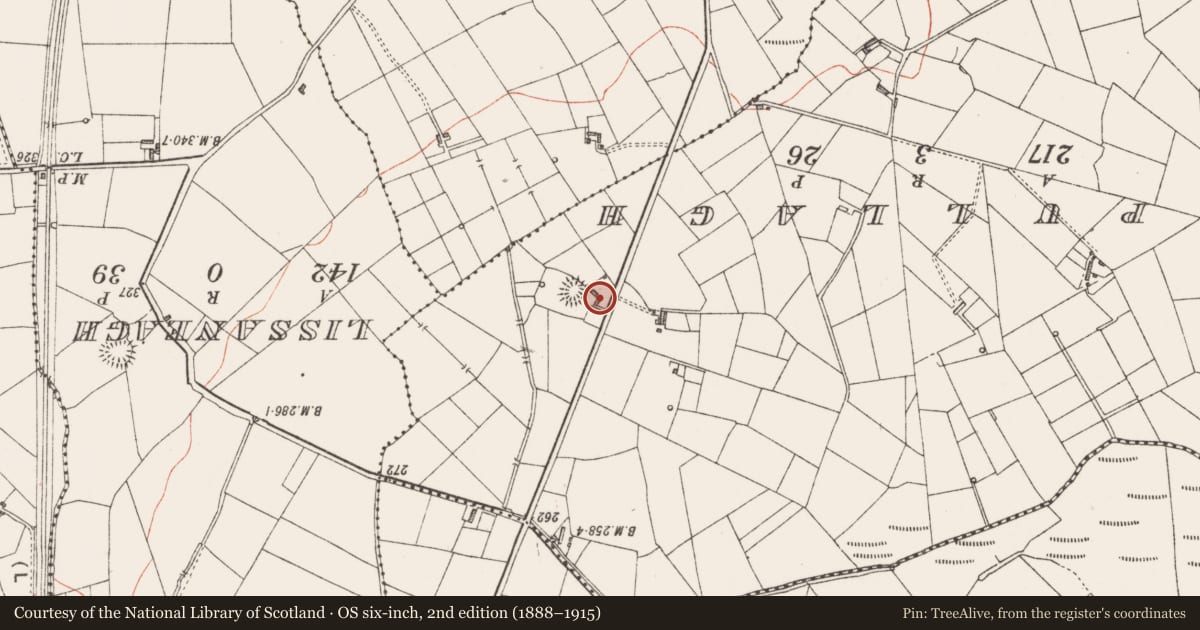 Ordnance Survey six-inch map, 2nd edition (1888–1915) covering the location of Ringfort - rath, Rinbaun, County Sligo, with a pin at the register's coordinates