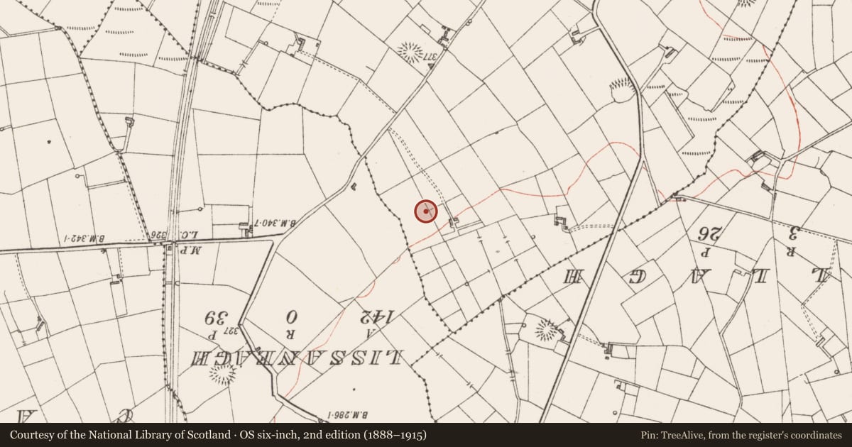 Ordnance Survey six-inch map, 2nd edition (1888–1915) covering the location of Ringfort - rath, Rinbaun, County Sligo, with a pin at the register's coordinates