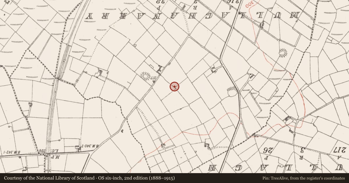 Ordnance Survey six-inch map, 2nd edition (1888–1915) covering the location of Souterrain, Rinbaun, County Sligo, with a pin at the register's coordinates