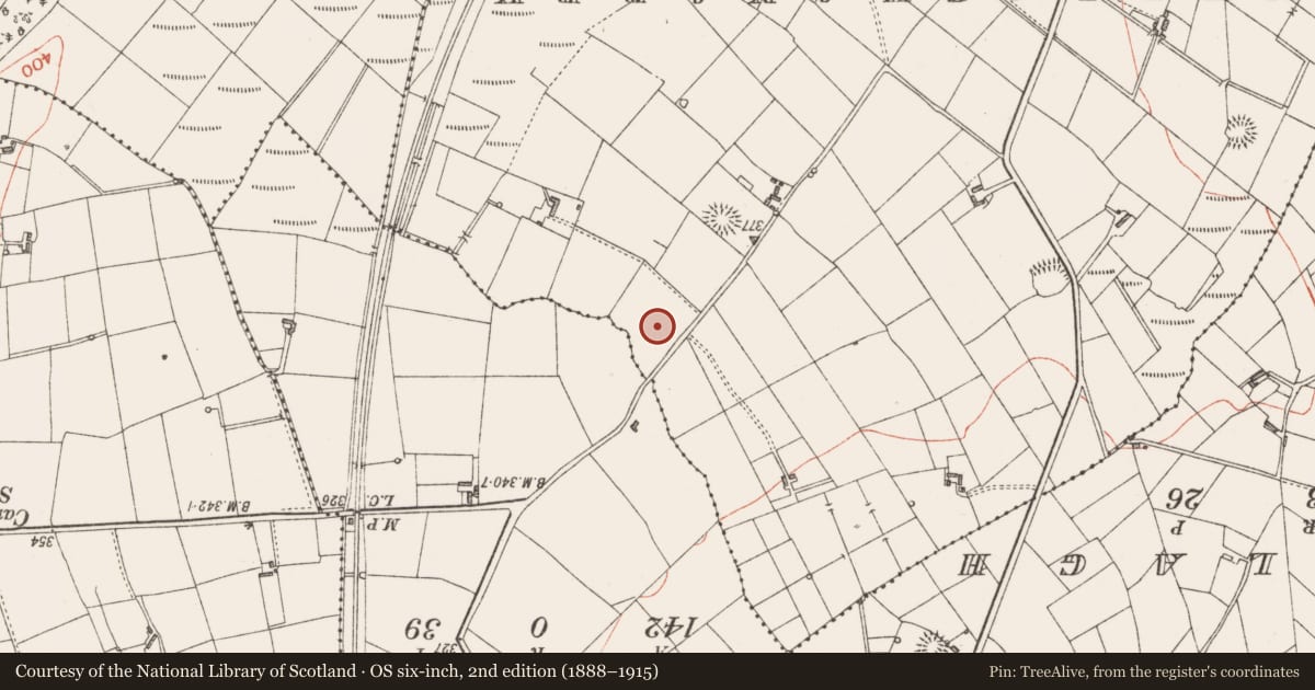 Ordnance Survey six-inch map, 2nd edition (1888–1915) covering the location of Ringfort - rath, Rinbaun, County Sligo, with a pin at the register's coordinates