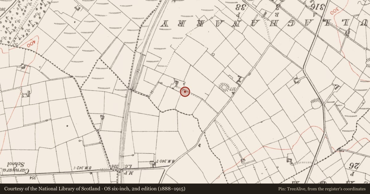 Ordnance Survey six-inch map, 2nd edition (1888–1915) covering the location of Ringfort - cashel, Rinbaun, County Sligo, with a pin at the register's coordinates