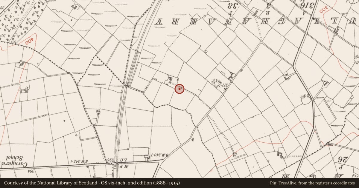 Ordnance Survey six-inch map, 2nd edition (1888–1915) covering the location of Hut site, Rinbaun, County Sligo, with a pin at the register's coordinates