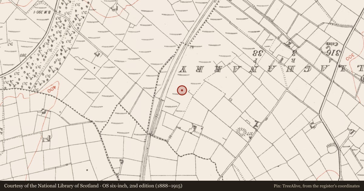 Ordnance Survey six-inch map, 2nd edition (1888–1915) covering the location of Ringfort - rath, Rinbaun, County Sligo, with a pin at the register's coordinates