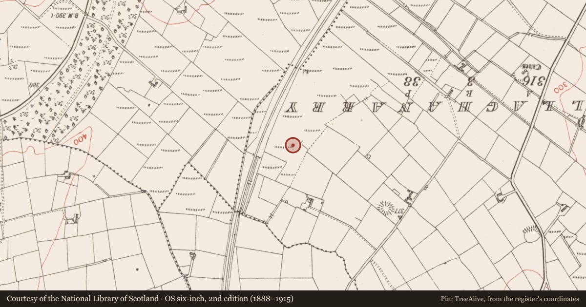 Ordnance Survey six-inch map, 2nd edition (1888–1915) covering the location of Hut site, Rinbaun, County Sligo, with a pin at the register's coordinates