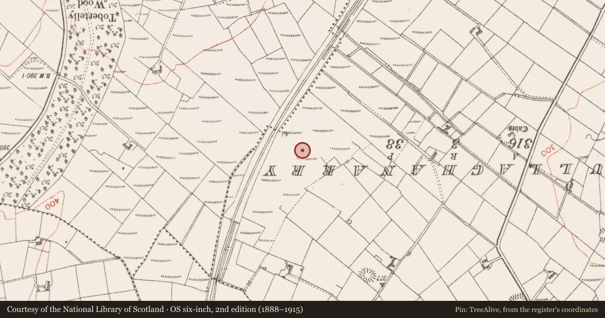 Ordnance Survey six-inch map, 2nd edition (1888–1915) covering the location of Ringfort - rath, Rinbaun, County Sligo, with a pin at the register's coordinates
