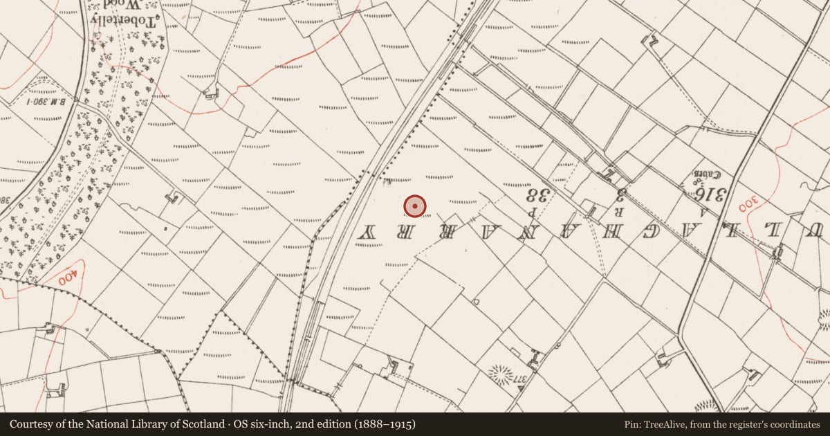 Ordnance Survey six-inch map, 2nd edition (1888–1915) covering the location of Souterrain, Rinbaun, County Sligo, with a pin at the register's coordinates